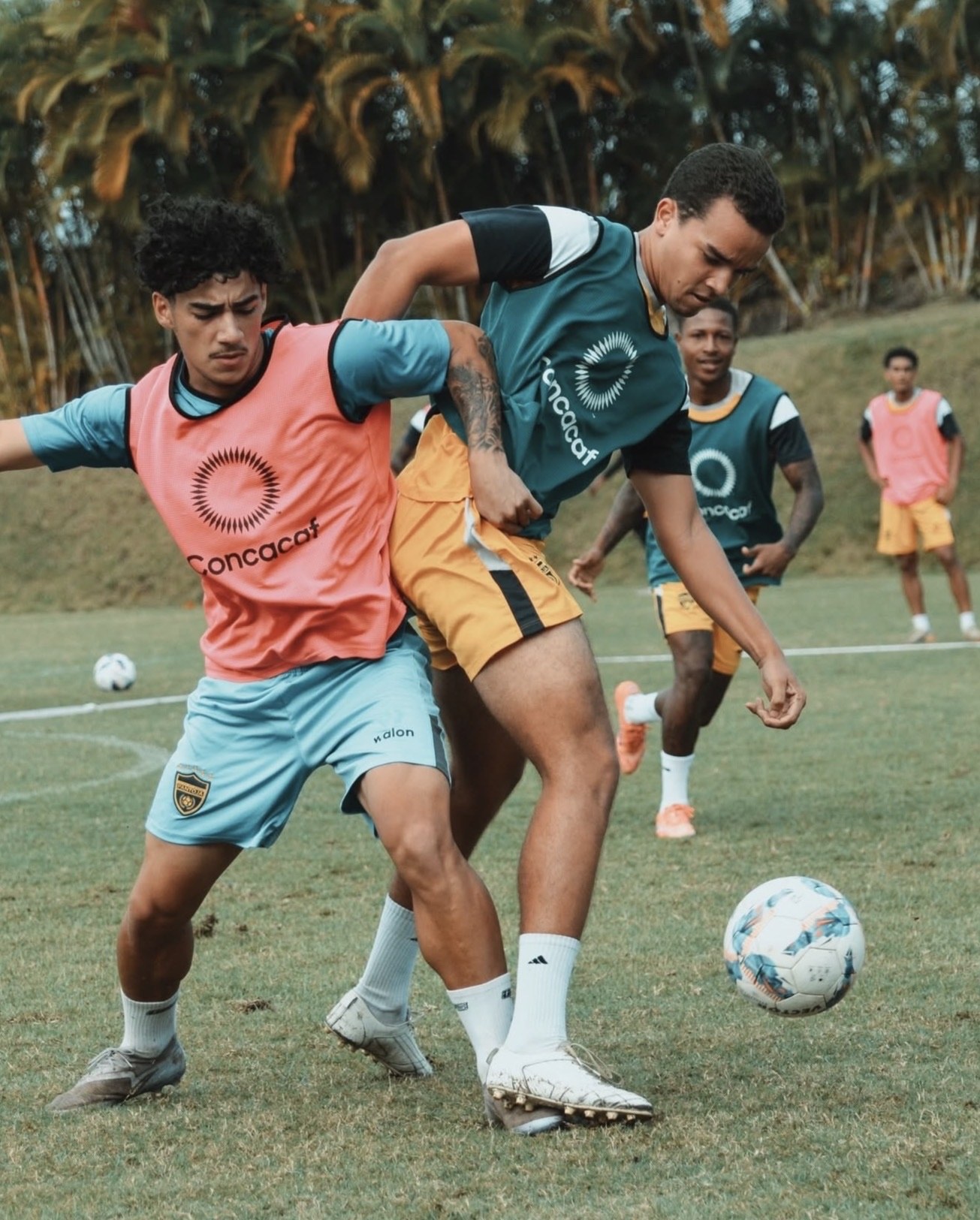 Nathanael Vasiliadis shielding the ball in training